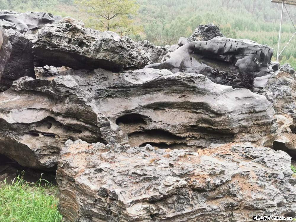风景石、假山石大量有货，有需要的欢迎联系 - 新手上路 - 梅州生活社区 - 梅州28生活网 mz.28life.net