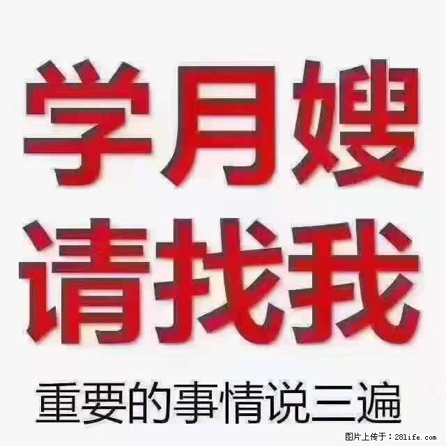 为什么要学习月嫂，育婴师？ - 其他广告 - 广告专区 - 梅州分类信息 - 梅州28生活网 mz.28life.net