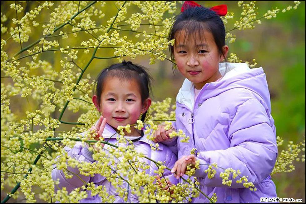 【春天,广西桂林灌阳县向您发出邀请!】米珠山前有片山苍子花在飘香 - 游山玩水 - 梅州生活社区 - 梅州28生活网 mz.28life.net
