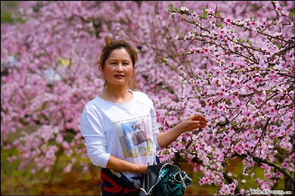 【春天，广西桂林灌阳县向您发出邀请！】官庄村有个醉美的桃花园 - 游山玩水 - 梅州生活社区 - 梅州28生活网 mz.28life.net