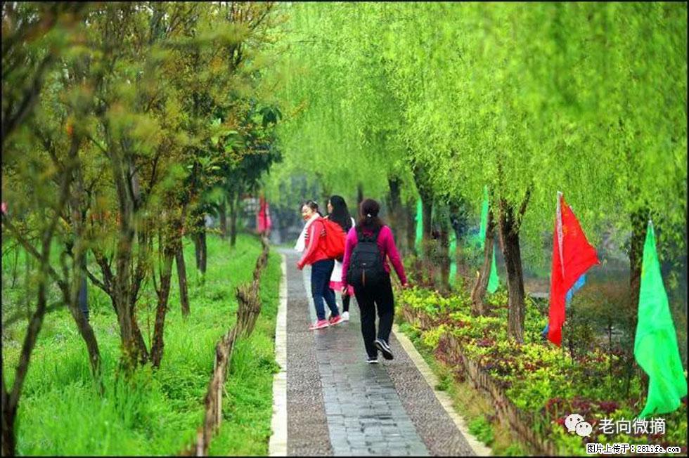 【春天，广西桂林灌阳县向您发出邀请！】江口老街又逢春 - 游山玩水 - 梅州生活社区 - 梅州28生活网 mz.28life.net