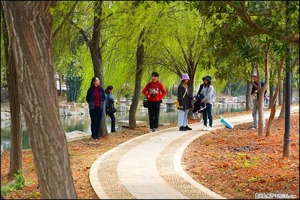 【春天，广西桂林灌阳县向您发出邀请！】江口老街又逢春 - 游山玩水 - 梅州生活社区 - 梅州28生活网 mz.28life.net