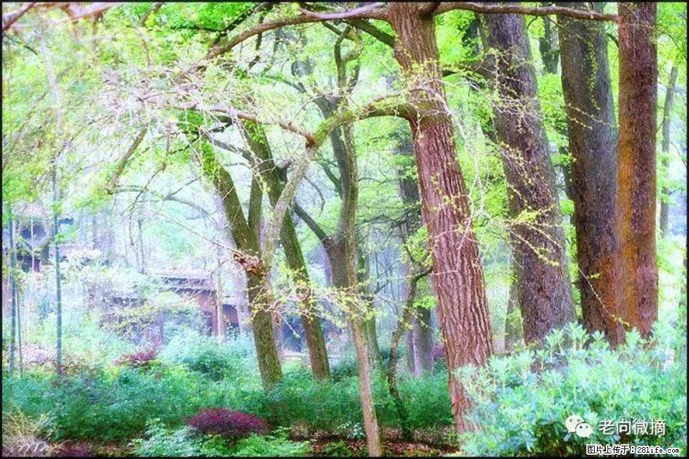 【春天，广西桂林灌阳县向您发出邀请！】在小龙村与春天约会 - 游山玩水 - 梅州生活社区 - 梅州28生活网 mz.28life.net