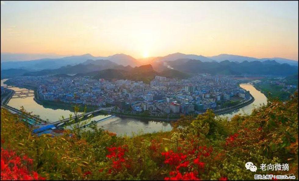 【春天，广西桂林灌阳县向您发出邀请！】登麒麟山，相约映山红 - 游山玩水 - 梅州生活社区 - 梅州28生活网 mz.28life.net
