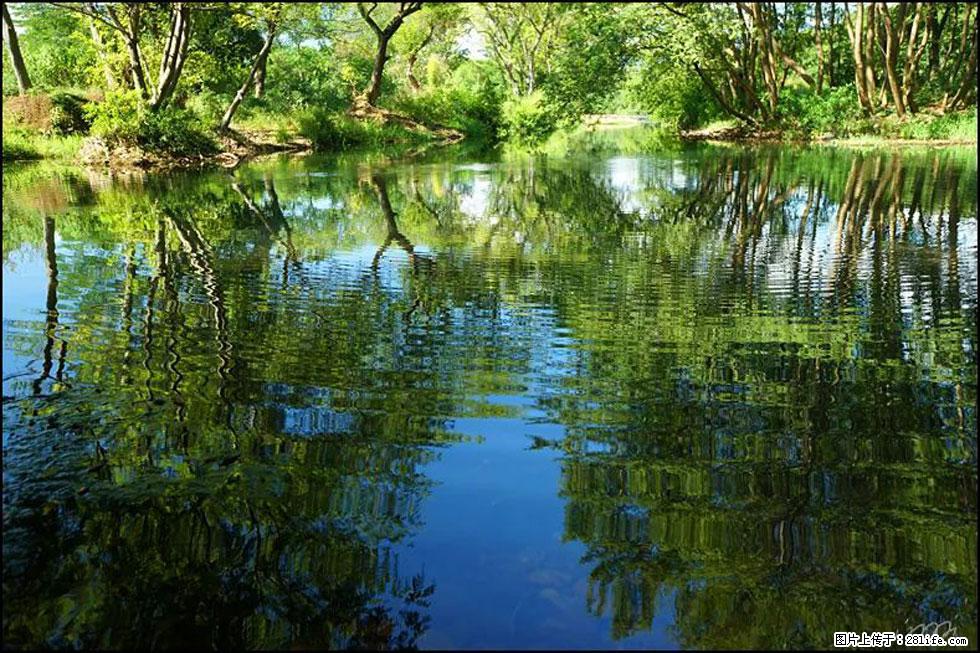 【春天，广西桂林灌阳县向您发出邀请！】熊家寨湿地公园 - 游山玩水 - 梅州生活社区 - 梅州28生活网 mz.28life.net