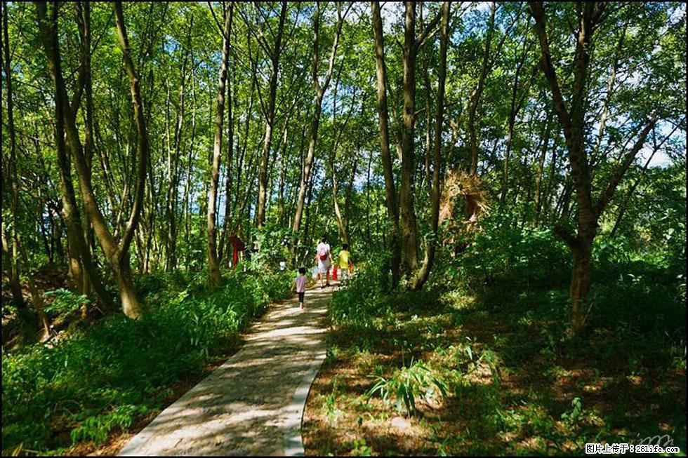 【春天，广西桂林灌阳县向您发出邀请！】熊家寨湿地公园 - 游山玩水 - 梅州生活社区 - 梅州28生活网 mz.28life.net