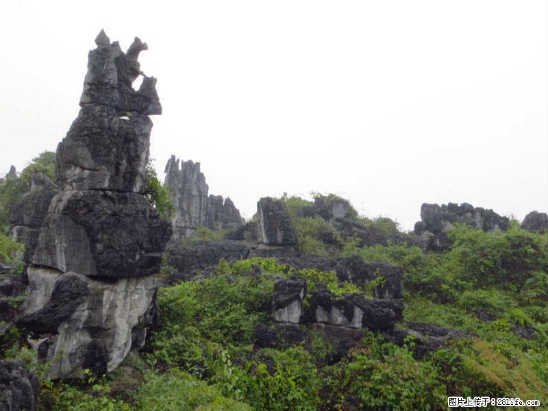 桂林旅游名城景点：灌阳文市石林 - 游山玩水 - 梅州生活社区 - 梅州28生活网 mz.28life.net