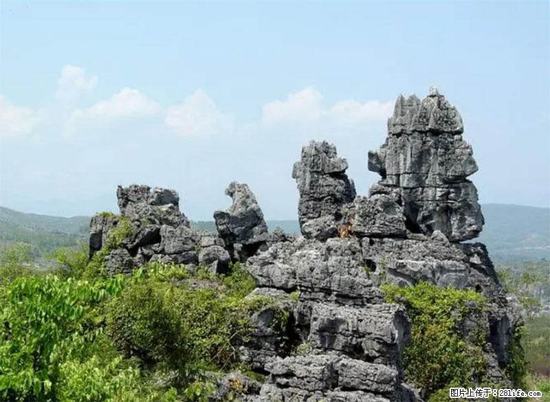 桂林旅游名城景点：灌阳文市石林 - 游山玩水 - 梅州生活社区 - 梅州28生活网 mz.28life.net