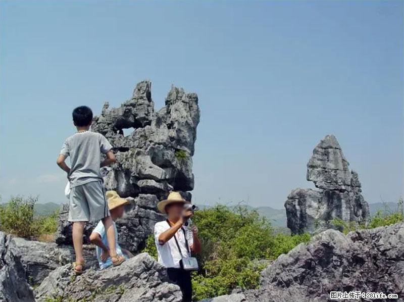 桂林旅游名城景点：灌阳文市石林 - 游山玩水 - 梅州生活社区 - 梅州28生活网 mz.28life.net