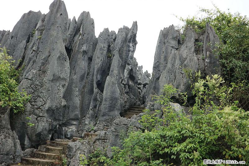 桂林旅游名城景点：灌阳文市石林 - 游山玩水 - 梅州生活社区 - 梅州28生活网 mz.28life.net