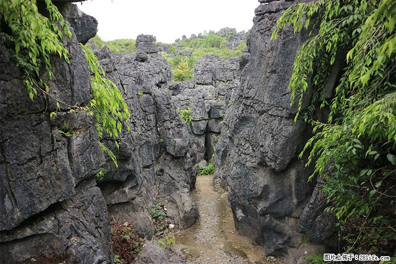 桂林旅游名城景点：灌阳文市石林 - 游山玩水 - 梅州生活社区 - 梅州28生活网 mz.28life.net