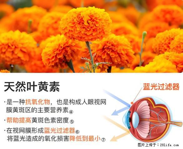 叶黄素有什么功效和作用 - 生活百科 - 梅州生活社区 - 梅州28生活网 mz.28life.net