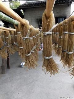 【灌阳正宗红薯粉】美女家里自己做的，干净卫生，假一赔十，价格合理，抢购电话：13737312895 - 梅州28生活网 mz.28life.net