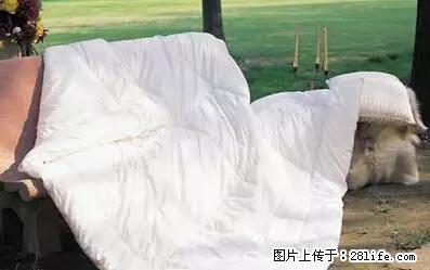 被子有异味？只要这样做，比晒太阳还强100倍！ - 家居生活 - 梅州生活社区 - 梅州28生活网 mz.28life.net