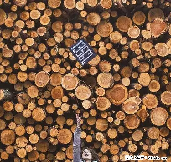 辞掉工作周游世界？现在他们在洗厕所…… - 游山玩水 - 梅州生活社区 - 梅州28生活网 mz.28life.net