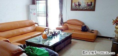 陶然居 3室2厅2卫 - 房屋出租 - 房屋租售 - 梅州分类信息 - 梅州28生活网 mz.28life.net