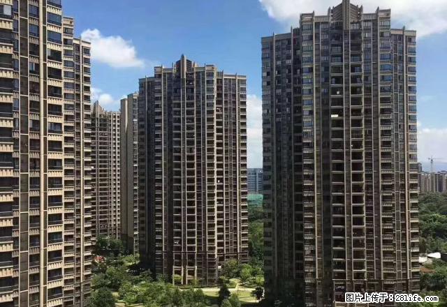 富力城一期116平3房2厅2卫出租 - 房屋出租 - 房屋租售 - 梅州分类信息 - 梅州28生活网 mz.28life.net