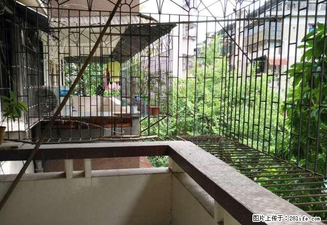 江南育才小学旁梅州日报社背四楼三房二厅700元有小区 - 房屋出租 - 房屋租售 - 梅州分类信息 - 梅州28生活网 mz.28life.net