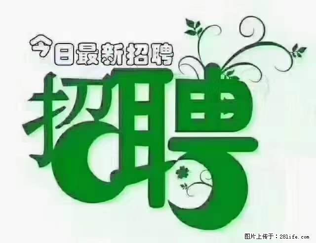 【招聘摄像师】待遇：试用期6000元/月，转正7000元/月+五险一金+餐补+节日福利+奖金 - 其他招聘信息 - 招聘求职 - 梅州分类信息 - 梅州28生活网 mz.28life.net