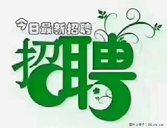 上海青浦区招仓管 - 职场交流 - 梅州生活社区 - 梅州28生活网 mz.28life.net