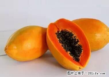 晕车、脚气、牙齿变黄、皮肤粗糙？学会这些三分钟搞定！ - 梅州生活资讯 - 梅州28生活网 mz.28life.net