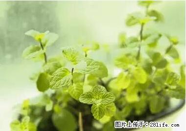 晕车、脚气、牙齿变黄、皮肤粗糙？学会这些三分钟搞定！ - 梅州生活资讯 - 梅州28生活网 mz.28life.net