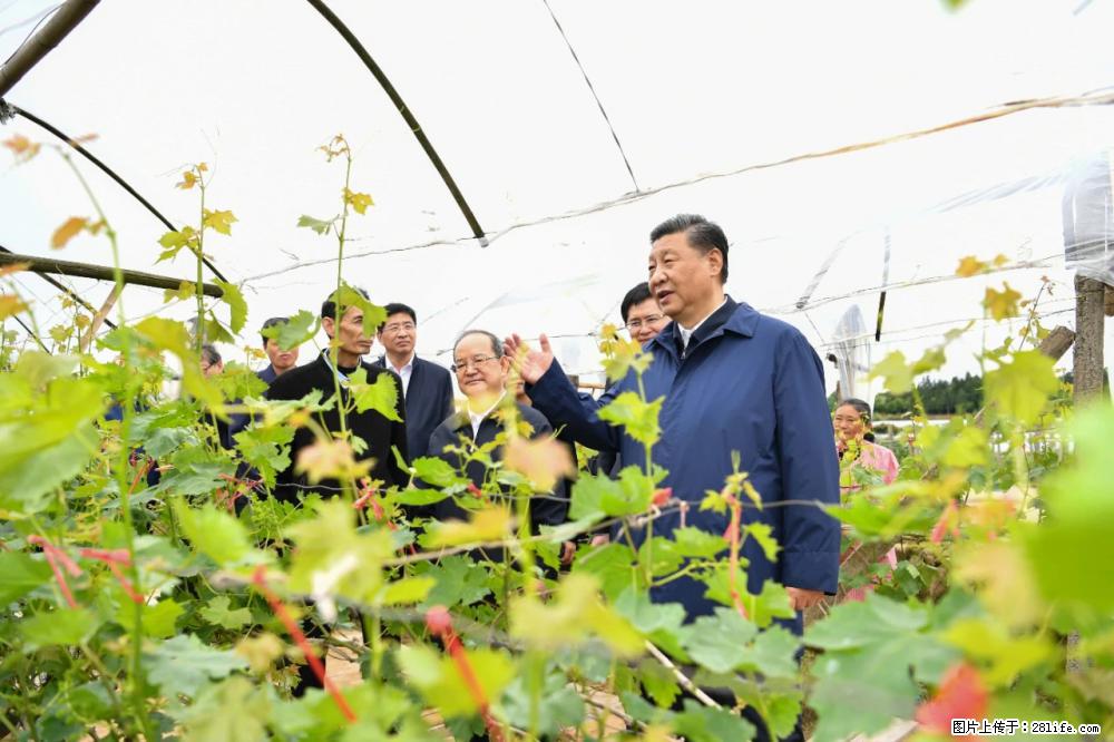 习近平赴广西考察调研 - 梅州生活资讯 - 梅州28生活网 mz.28life.net