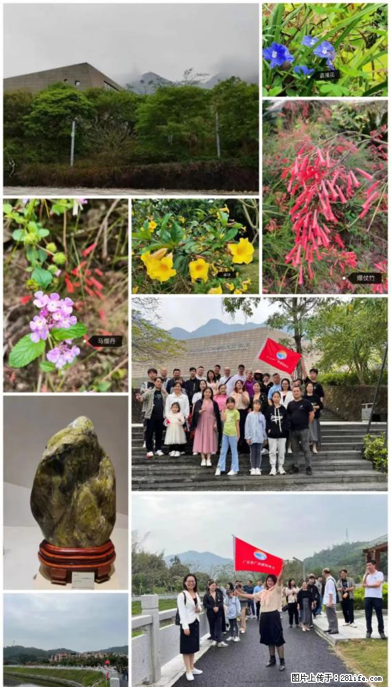 “粤灌文化 美好生活”油茶文化主题活动在广东深圳成功举办 - 梅州生活资讯 - 梅州28生活网 mz.28life.net