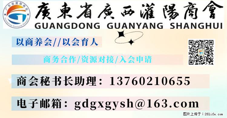 “粤灌文化 美好生活”油茶文化主题活动在广东深圳成功举办 - 梅州生活资讯 - 梅州28生活网 mz.28life.net