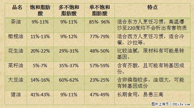 揭秘茶油的5大核心营养成分！被称为人体健康的“守护盾”！ - 梅州生活资讯 - 梅州28生活网 mz.28life.net