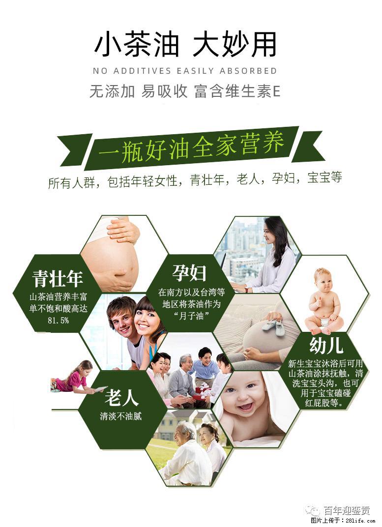 世界没有真相，只有认知，最好的食用油是中国的山茶油！ - 梅州生活资讯 - 梅州28生活网 mz.28life.net