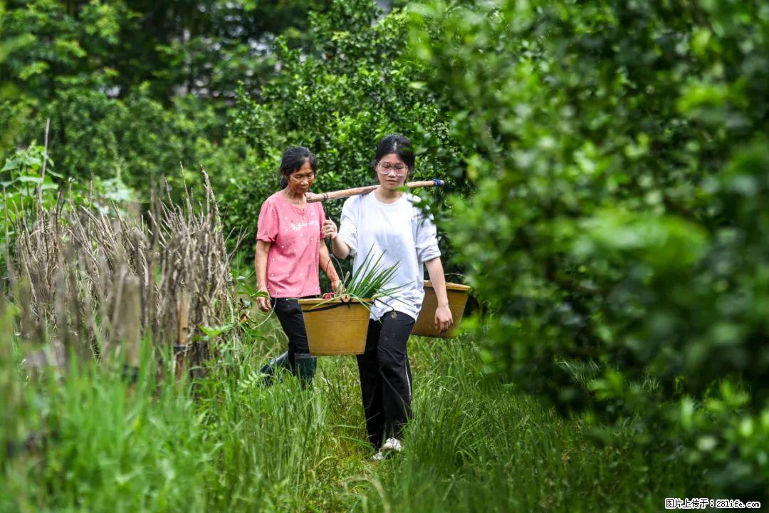 全网追的“扁担女孩”，找了一份暑假工，时薪12元 - 梅州生活资讯 - 梅州28生活网 mz.28life.net