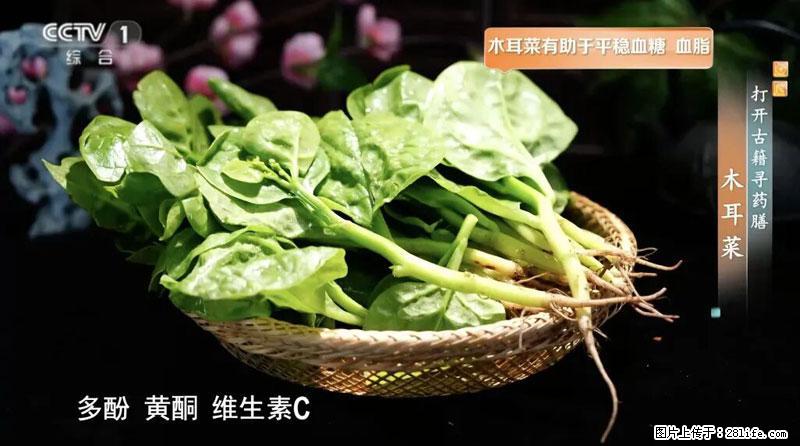 比牛奶补钙还厉害！凉血解毒、稳血糖...这菜冬天必吃，很多人却当草 - 梅州生活资讯 - 梅州28生活网 mz.28life.net