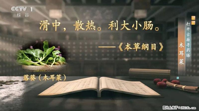 比牛奶补钙还厉害！凉血解毒、稳血糖...这菜冬天必吃，很多人却当草 - 梅州生活资讯 - 梅州28生活网 mz.28life.net