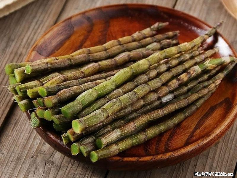 铁皮石斛的作用与功能主治 - 梅州生活资讯 - 梅州28生活网 mz.28life.net