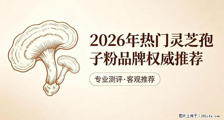 灵芝孢子粉含量越高越有效？2026 年七款热门品牌深度实测，肠胃敏感者避坑指南 - 梅州生活资讯 - 梅州28生活网 mz.28life.net